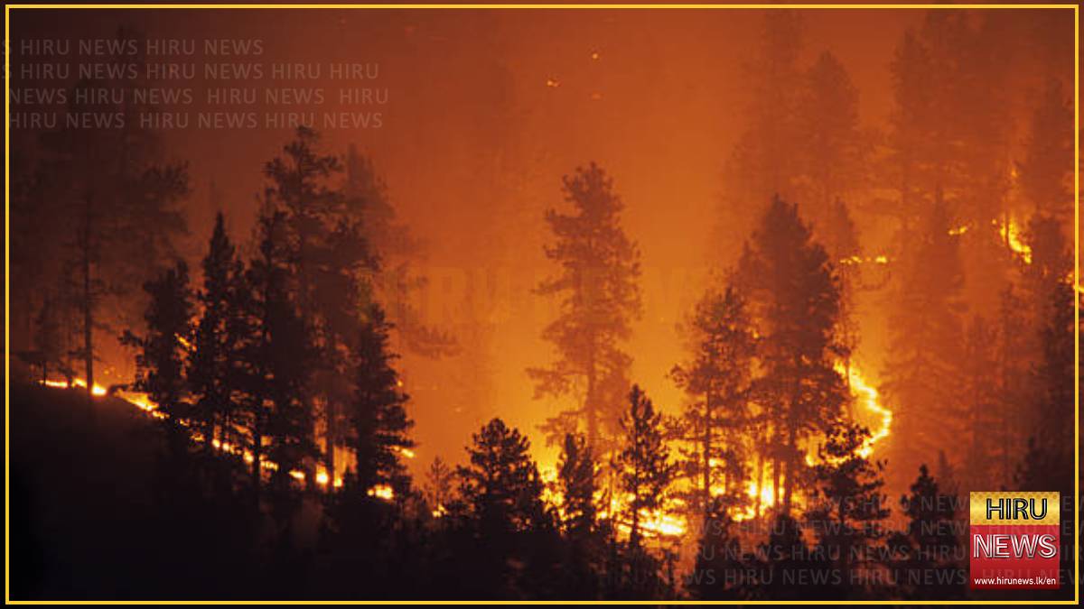 Wildfires, heat waves threaten to undermine air quality, UN weather agency says