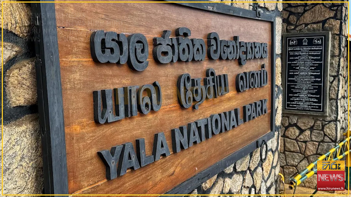 යාල කලාප දෙකක් ලබන 14 සිට වැසේ