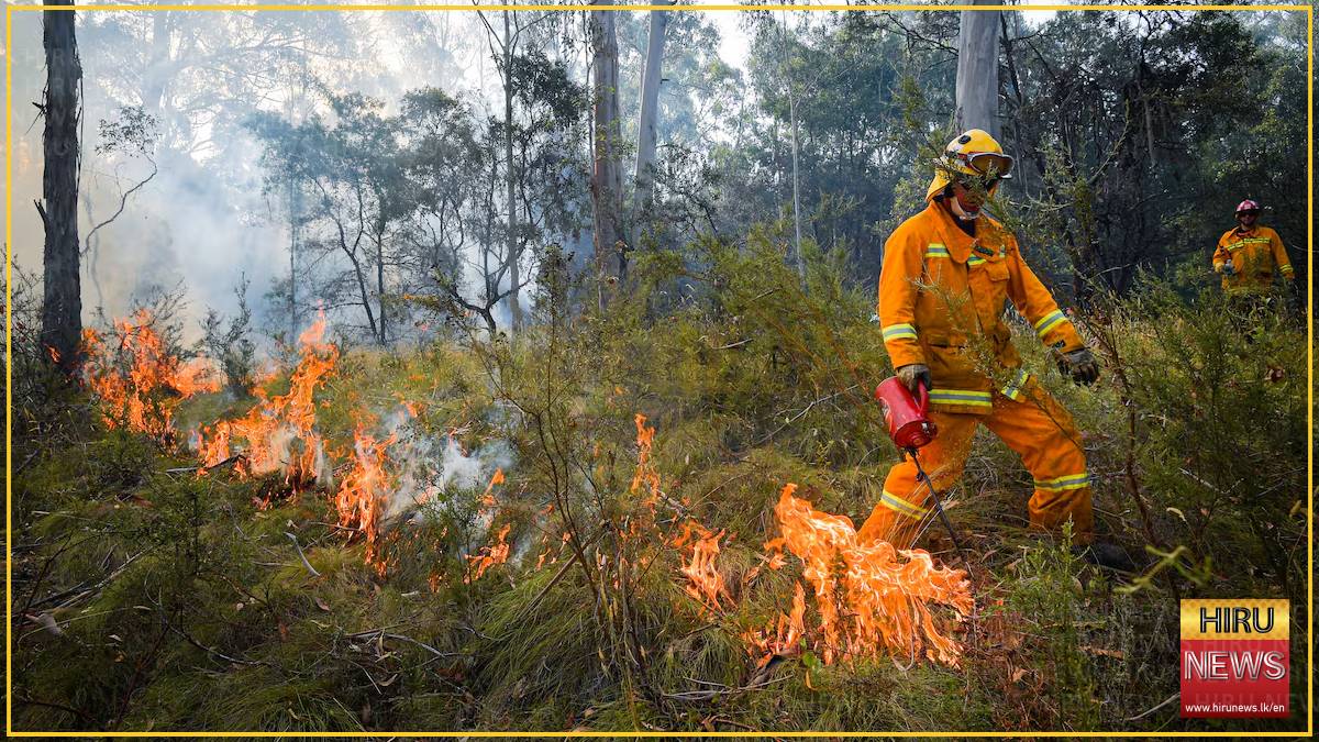Australia braces for its own fire season after sweltering European summer