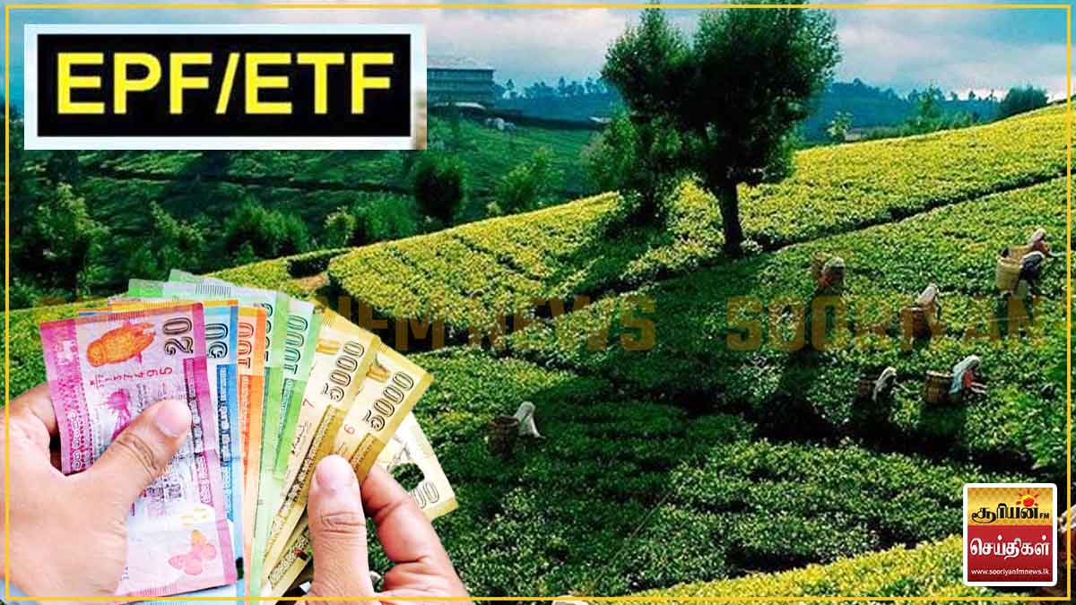 20 ஆண்டு கால காத்திருப்புக்கு முற்றுப்புள்ளி: 10,000க்கும் மேற்பட்ட தொழிலாளர்களுக்கு ரூ.450 கோடி நிவாரணம்