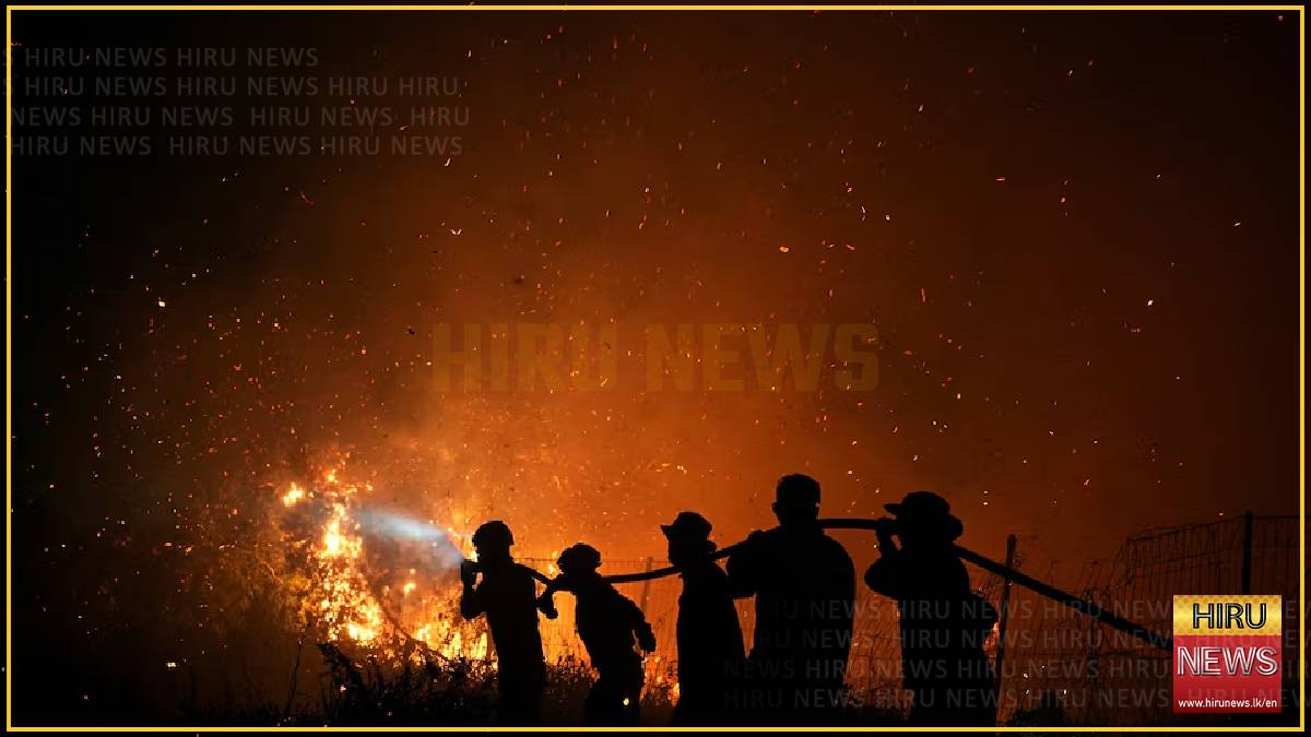 Indonesian wildfire emissions surge to world's highest