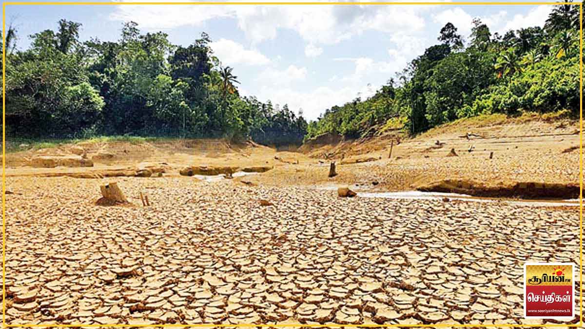 இலங்கையை வாட்டி வதைக்கும் எல் நினோ தாக்கம் - வாழ்வாதாரத்தை இழந்த ஆயிரக்கணக்கான குடும்பங்கள்!