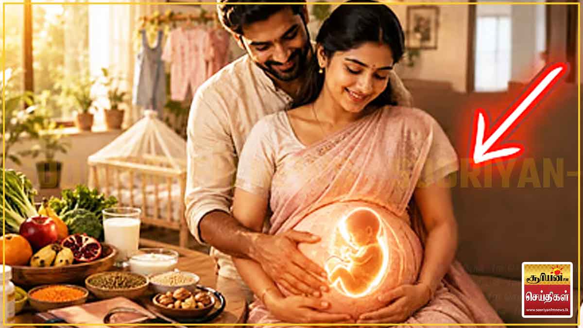 கர்ப்பகாலத்தில் பெரசிட்டமோல் - பெண் குழந்தைகளின் எதிர்கால இனப்பெருக்கத் திறனை பாதிக்குமா?