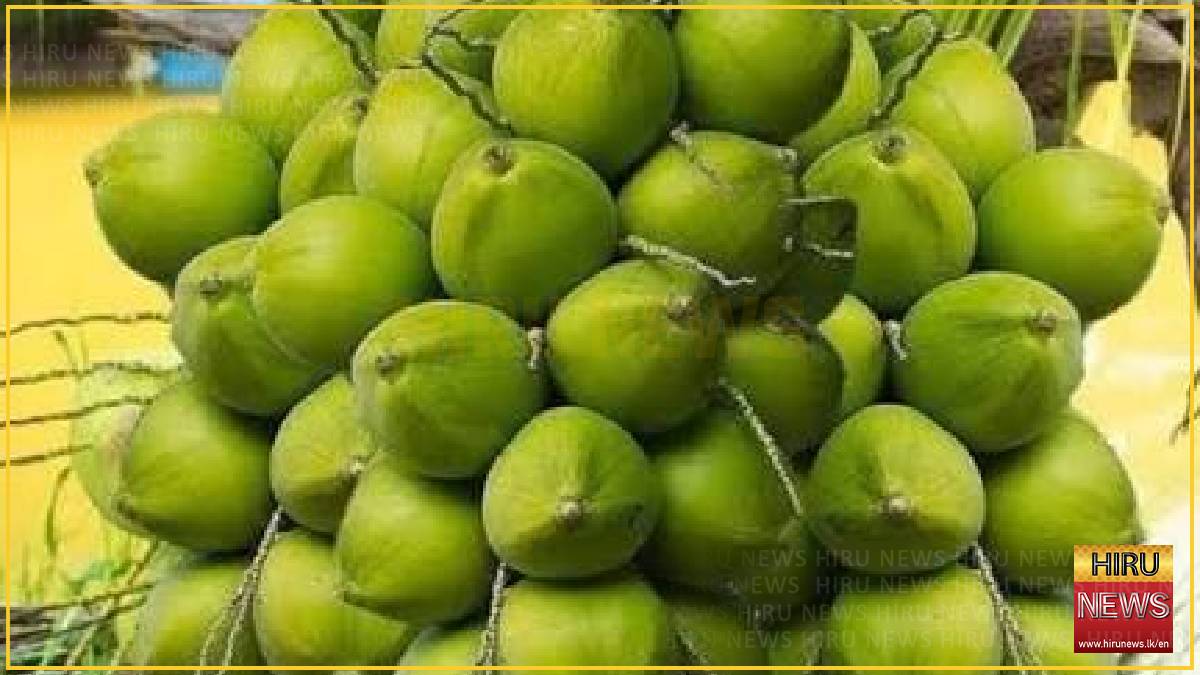 Coconut Cultivation Board launches subsidy programme to protect yield against dry weather 