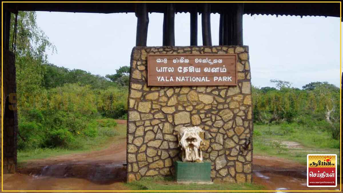 யால தேசிய பூங்காவின் இரு மண்டலங்கள் தற்காலிகமாக மூடப்படும் - வனஜீவராசிகள் திணைக்களம்