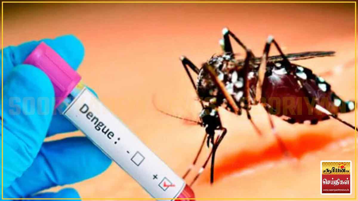 நாடளாவிய ரீதியில் தீவிரமடையும் டெங்கு - இதுவரை 97,000 பேர் பாதிப்பு!