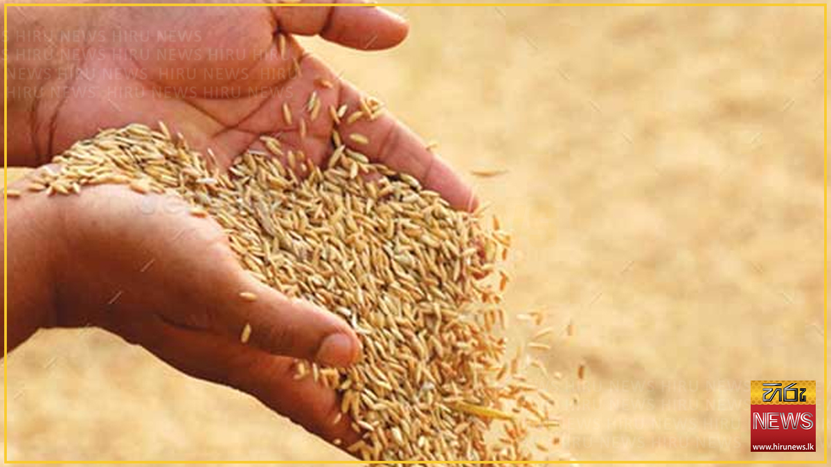 Cabinet approves additional Rs. 2.5bn for Yala paddy purchases