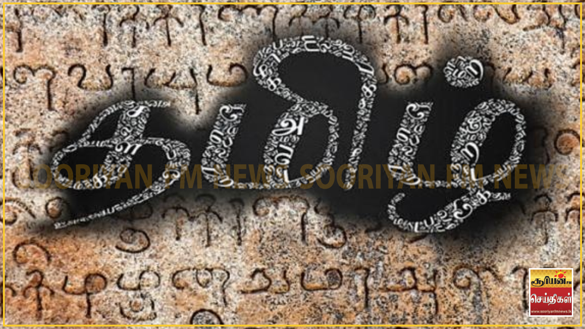  "வாழ்க தமிழ், வளர்க தமிழ்!" - சீனப் பல்கலைக்கழகத்தில் தமிழில் சிறப்புப் பட்டம் பெற்ற சீன மாணவியின் நெகிழ்ச்சி!