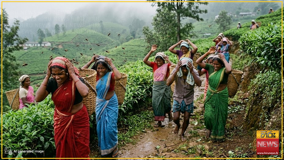 බඹර ප්‍රහාරයකින් කම්කරුවෙක් මරුට: හත් දෙනෙක් රෝහලේ