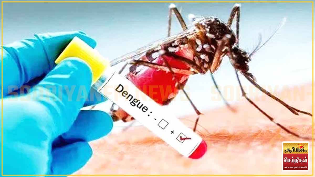 அவுஸ்திரேலியாவில் முதன்முறையாக டெங்கு தடுப்பூசிக்கு அனுமதி!