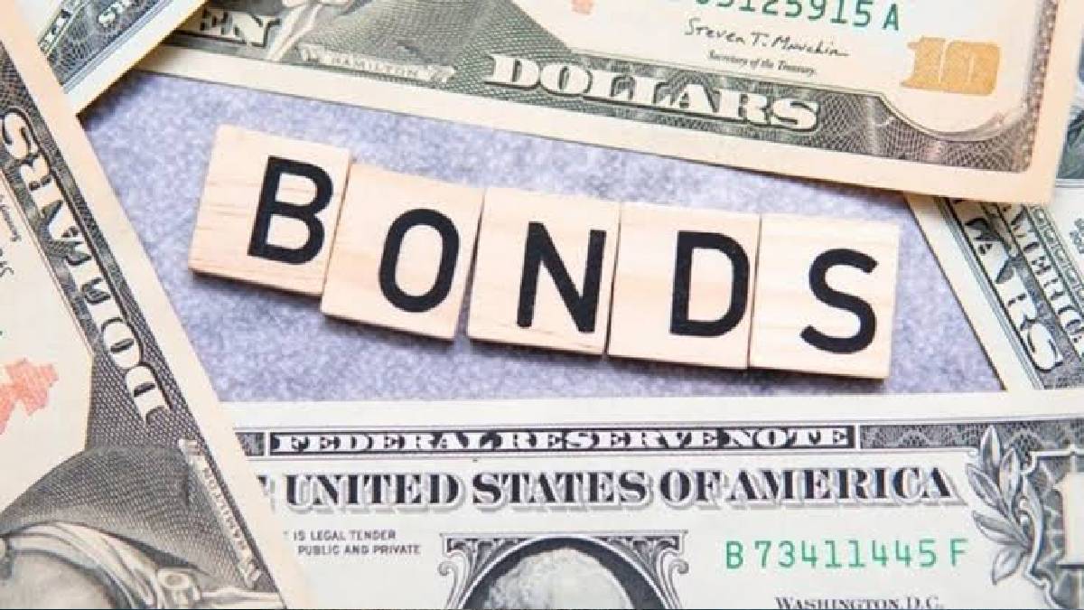 Government aims to raise 100 million dollars through domestic dollar bond issue 