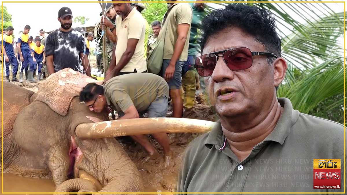 Sustainable solutions needed for human-elephant conflict, says Sajith Premadasa