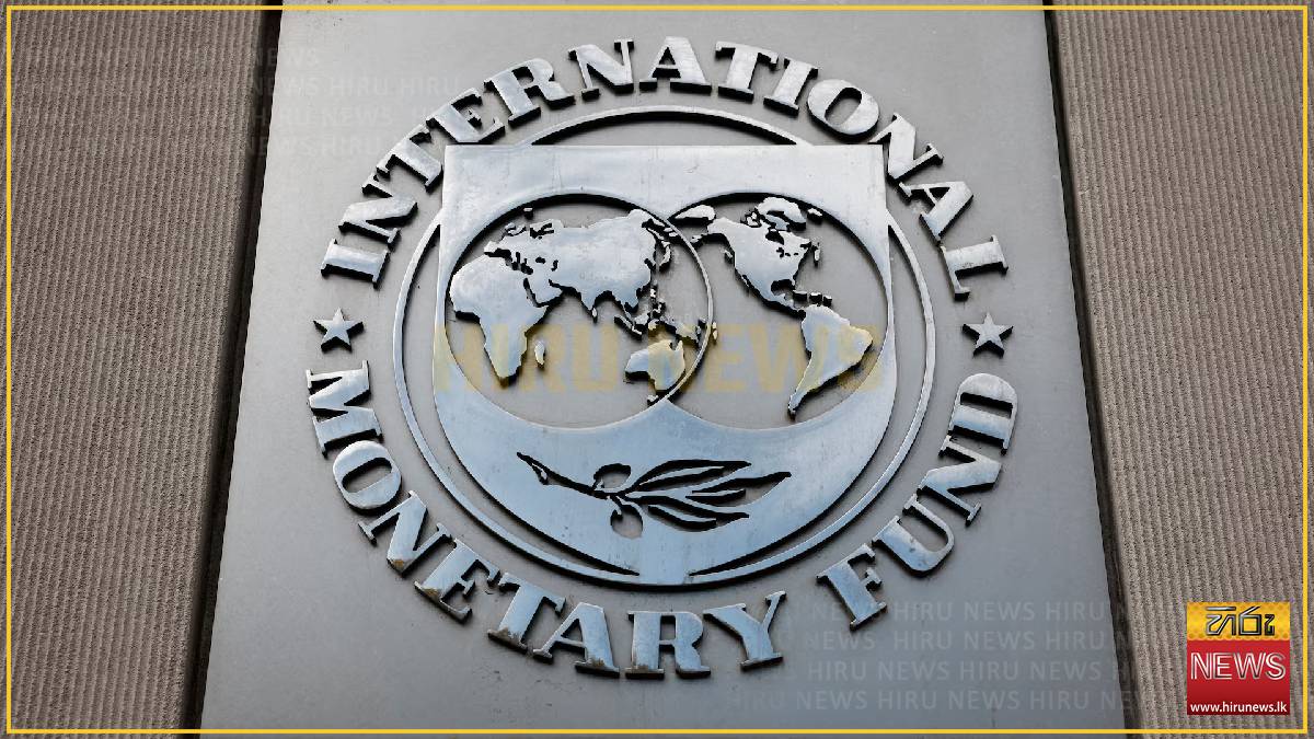 Delegates walked out of IMF steering committee meeting when Russian official spoke