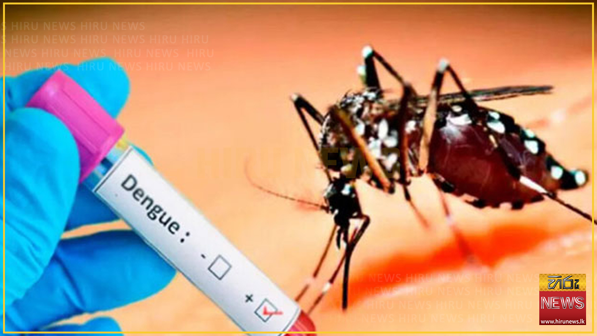 Dengue risk rises amid ongoing rains, health officials warn