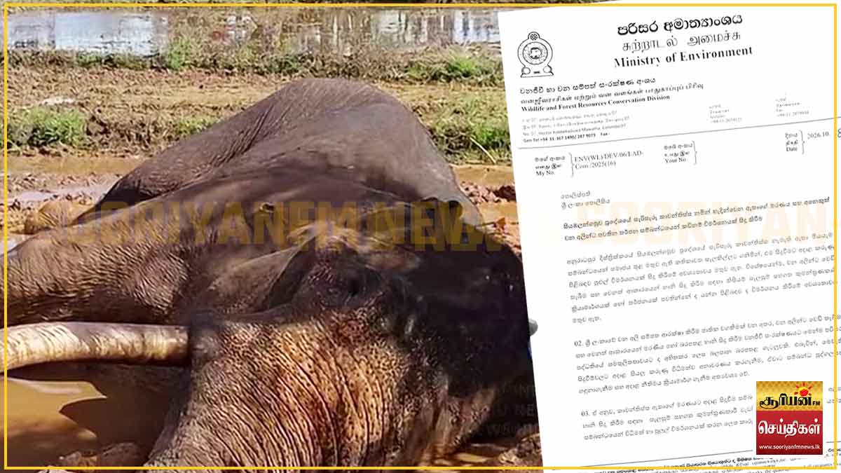 'காவன்திஸ்ஸ' யானையின் மரணம்: பின்னணியில் சதியா? காவல்துறை மா அதிபருக்கு சுற்றாடல் அமைச்சு அவசர கடிதம்!