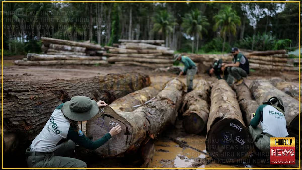 UN biodiversity conference warns world over nature loss