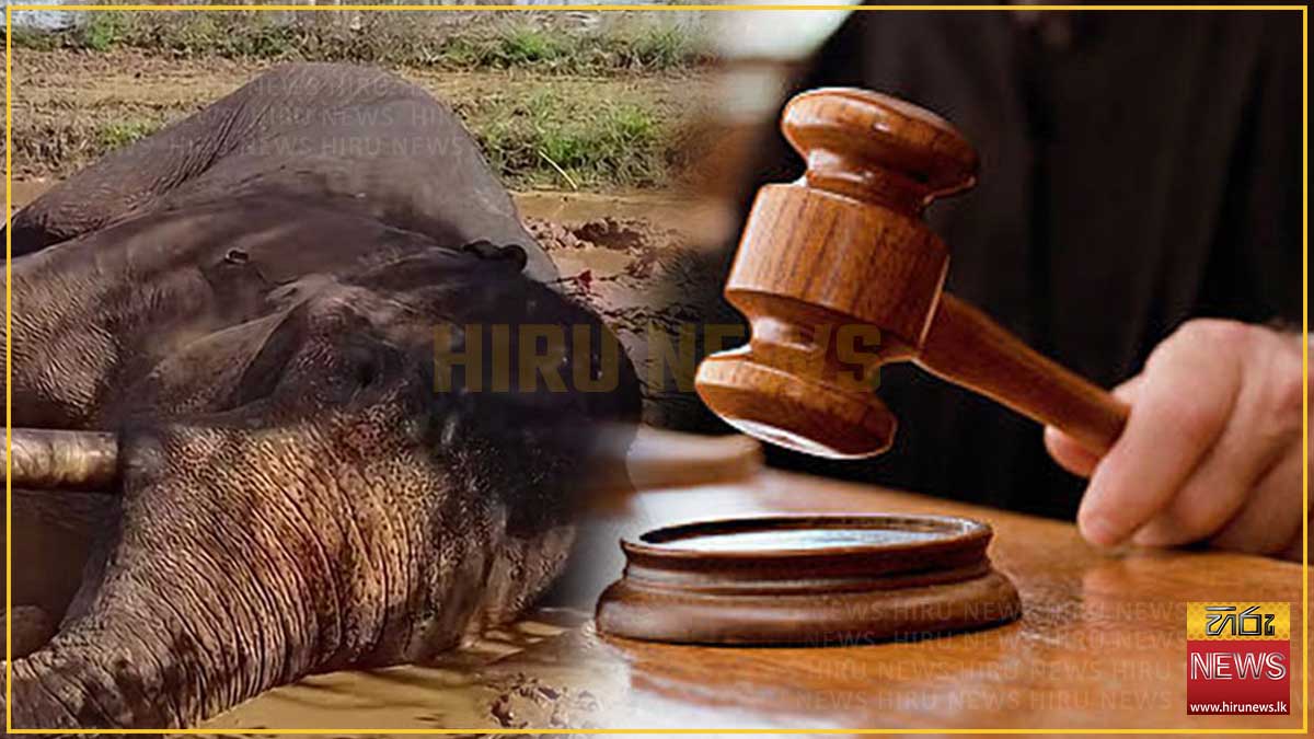 කාවන්තිස්ස ඇතාට වෙඩි තැබීමේ සිද්ධියට අත්අඩංගුවට ගත් දෙදෙනා 28 වැනිදා දක්වා රිමාන්ඩ්