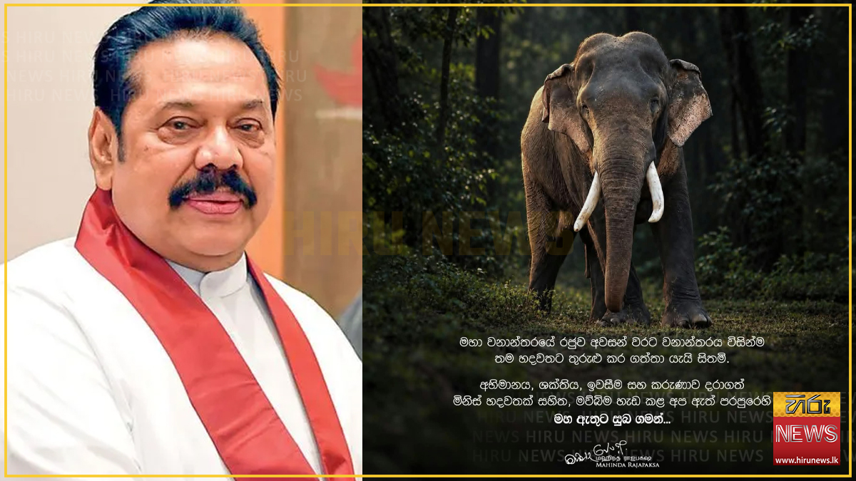 "මව්බිම හැඩ කළ අප ඇත් පරපුරෙහි මහ ඇතුට සුබ ගමන්..." හිටපු ජනපති මහින්ද රාජපක්ෂගෙන් කාවන්තිස්ස හස්තියා ගැන සංවේදී සටහනක්