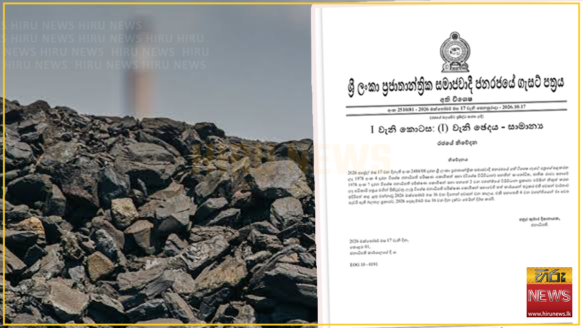 ගල් අඟුරු විමර්ශන ජනාධිපති කොමිසමේ කාලය දීර්ඝ කෙරේ