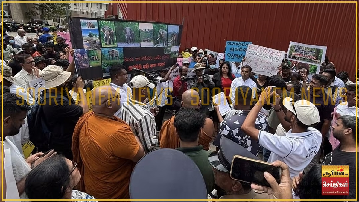 காவன்திஸ்ஸ யானையின் இறப்பைக் கண்டித்து சுற்றாடல் அமைச்சுக்கு முன்பாகப் போராட்டம்!