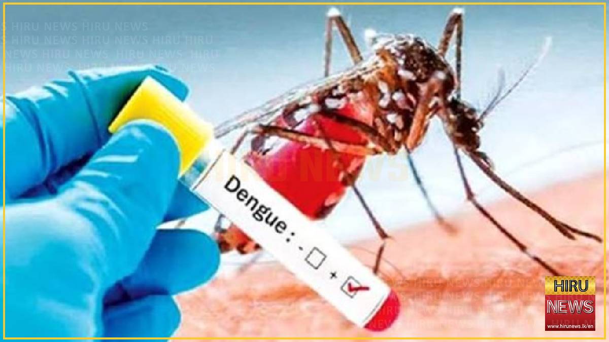 79 dengue deaths recorded so far this year