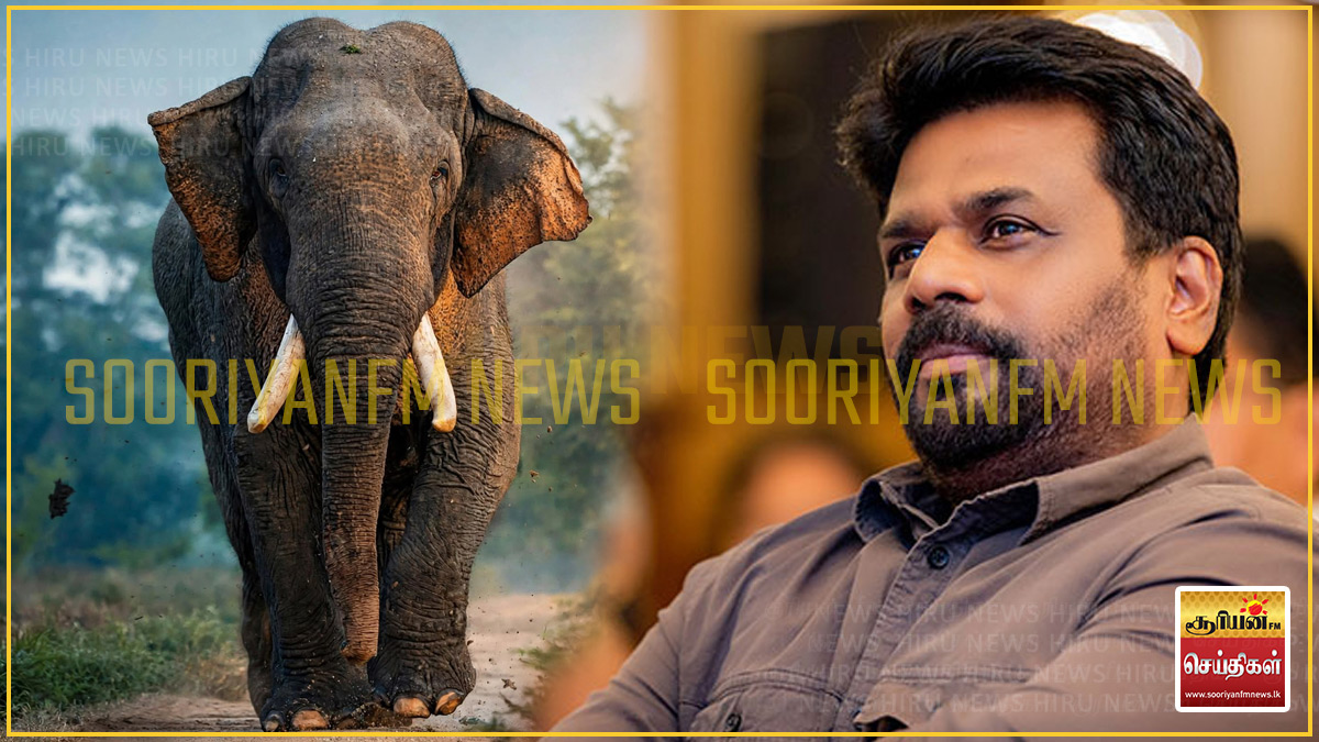 காவன்திஸ்ஸ யானையின் உயிரிழப்பு தொடர்பில் ஆராயும் நிபுணர் குழுவின் முதலாவது கூட்டம் இன்று!