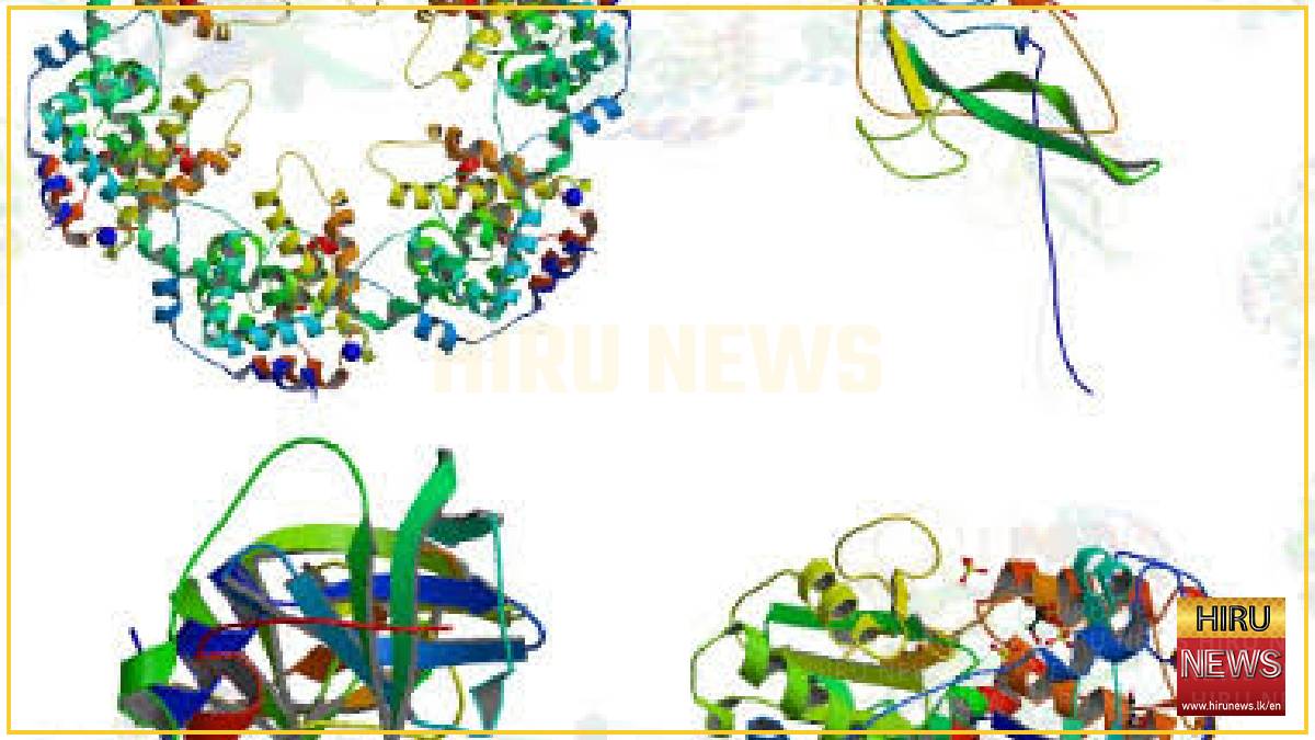 France reports first human Shamonda virus case