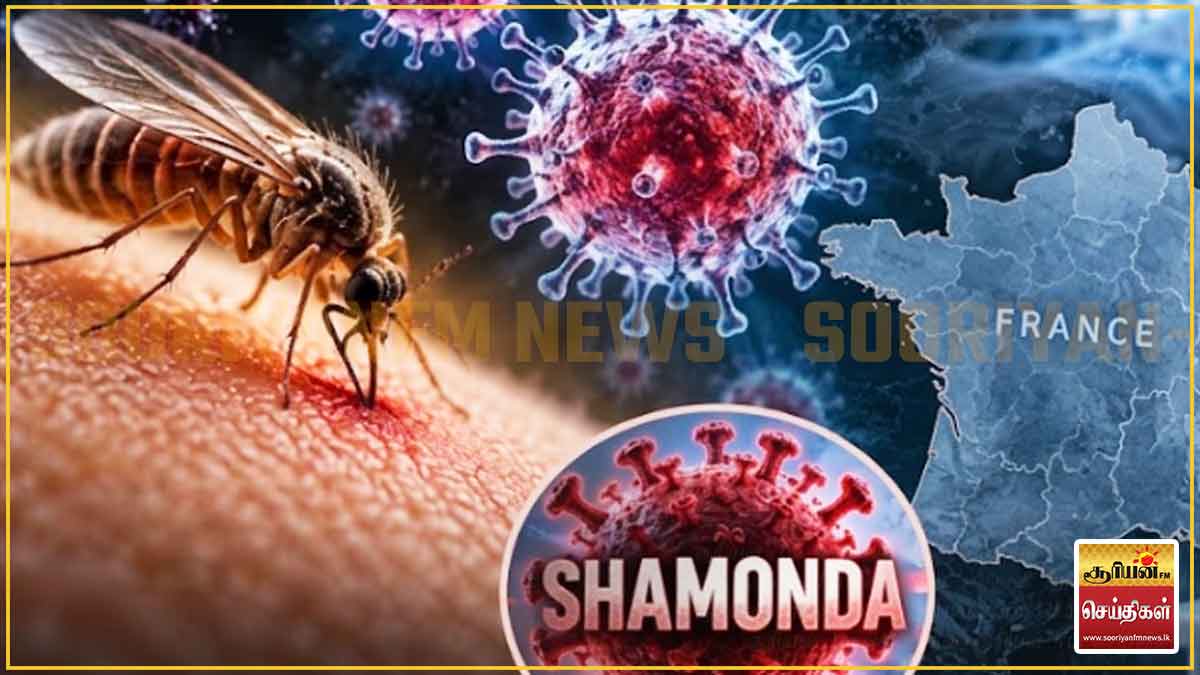 மனிதரிடம் கண்டறியப்பட்ட ஷாமோண்டா வைரஸ் – தீவிர கண்காணிப்பு!
