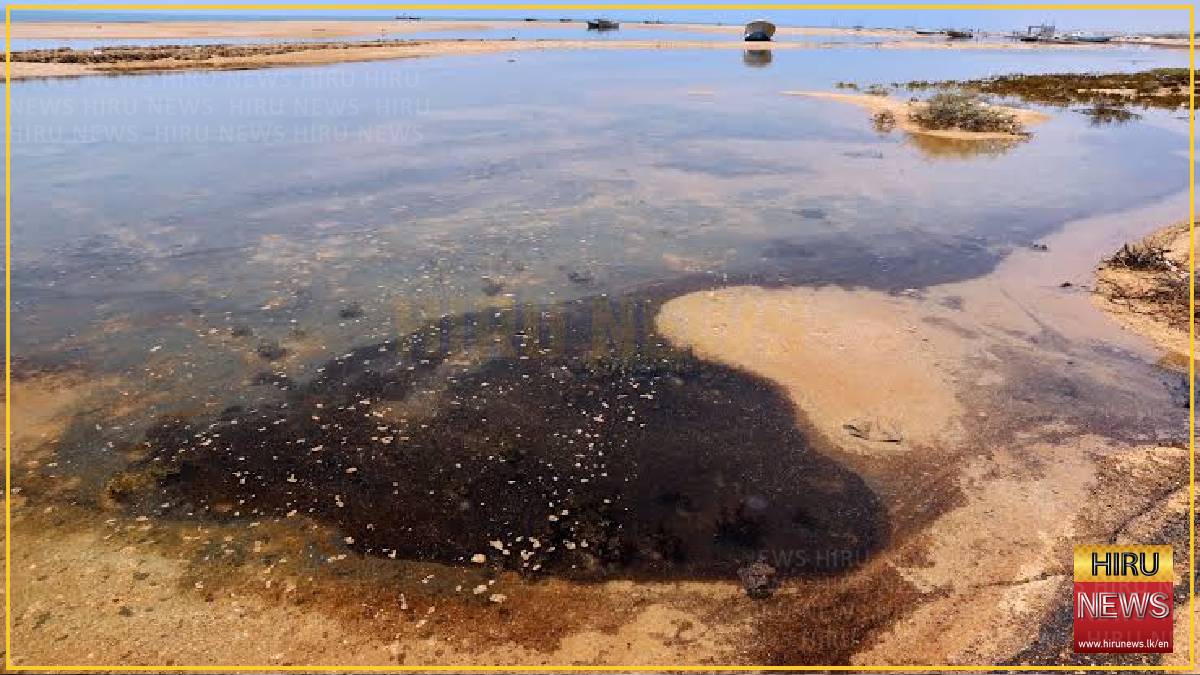 UAE says tanker oil spill has affected beaches in Umm Al Quwain