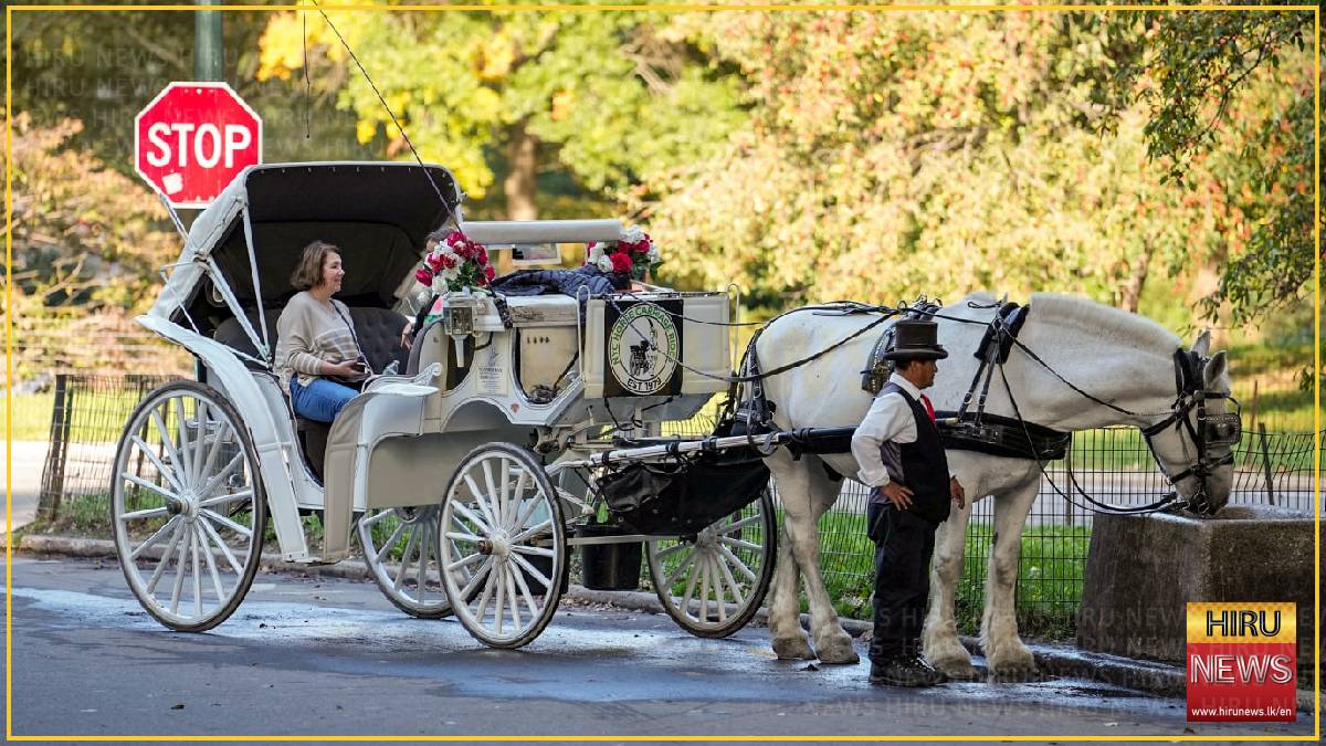 New York City bans horse-drawn carriages from June 2028