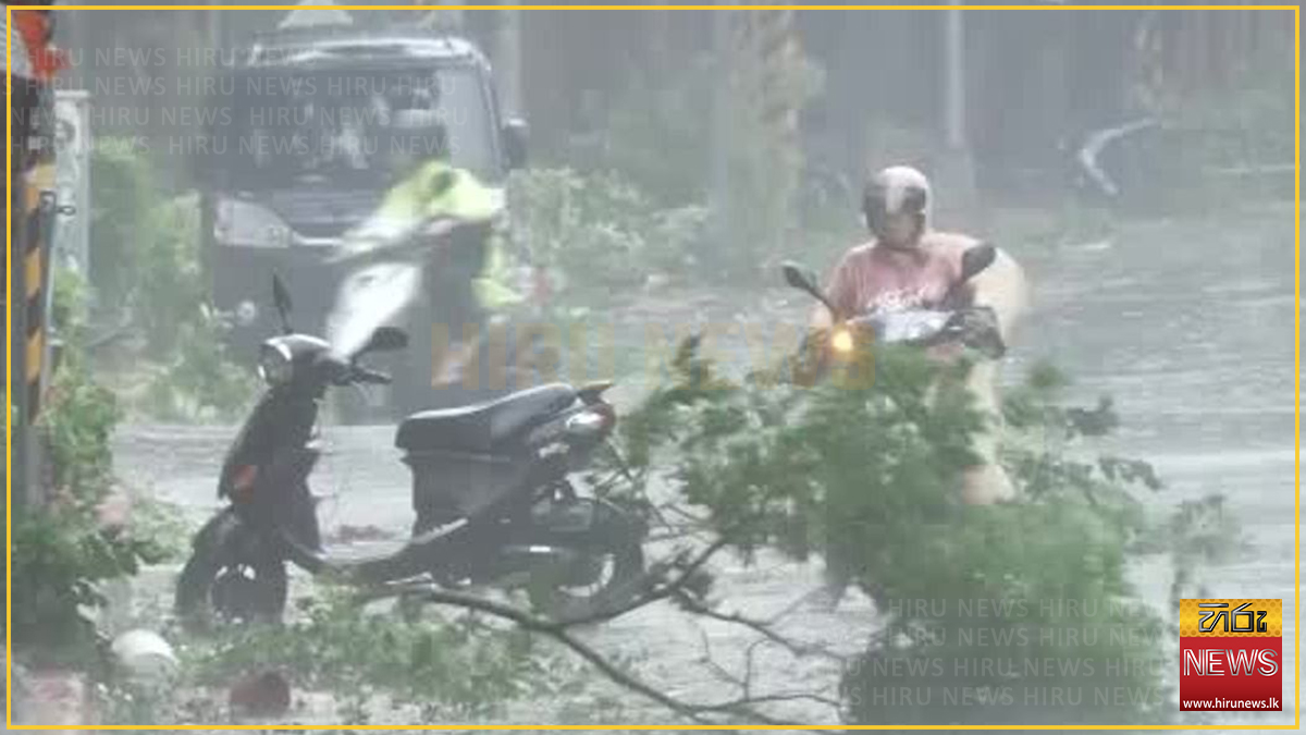 චම්පි සුළි කුණාටුවෙන් තායිවානය අඳුරේ: ගස් කඩා වැටී විදුලි සැපයුමටත් බාධා