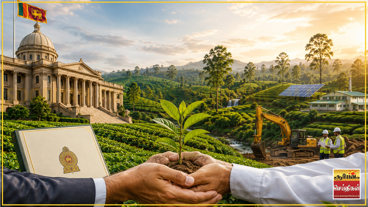 பெருந்தோட்டத் துறையில் பயன்பாடற்ற காணிகள் முதலீட்டாளர்களுக்கு குத்தகைக்கு!