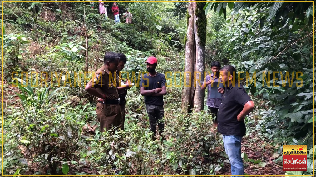 மர்மமான முறையில் இறந்து கிடந்த சிறுத்தை - விசாரணைகள் ஆரம்பம்