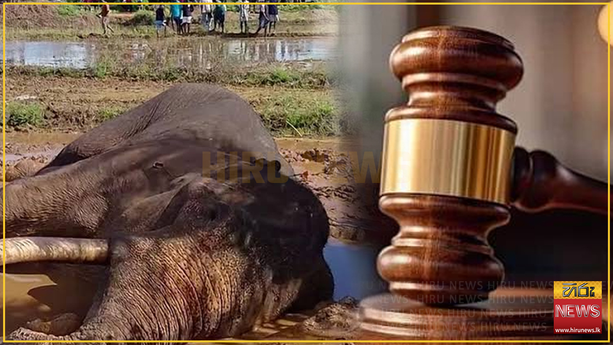Two suspects further remanded over tusker Kavantissa's shooting