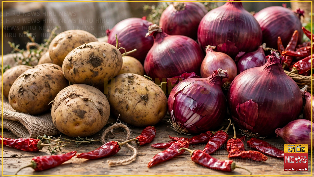 Prices of imported potatoes, dried chillies, and big onions increased